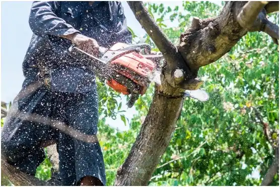 tree services Pleasantville